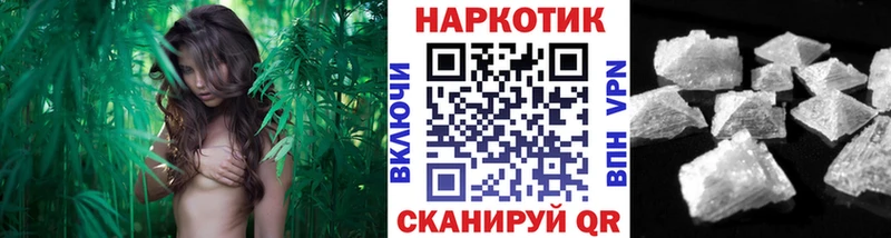 Где можно купить наркотики Бологое Бошки Шишки  A-PVP  АМФ  MEGA ССЫЛКА  Гашиш 