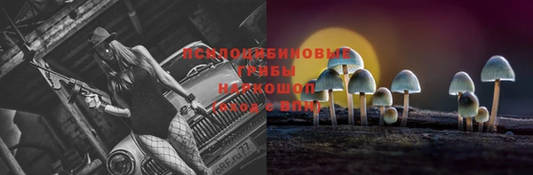 ПСИЛОЦИБИНОВЫЕ ГРИБЫ Белокуриха