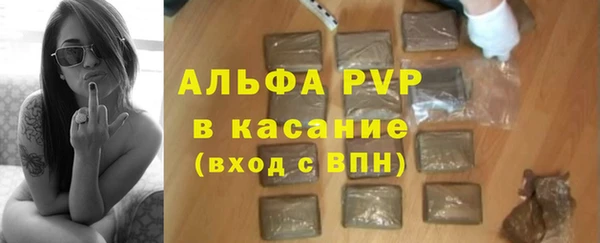 индика Белоозёрский