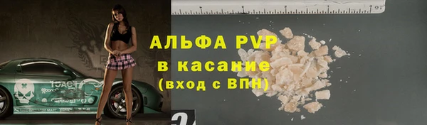 индика Белоозёрский