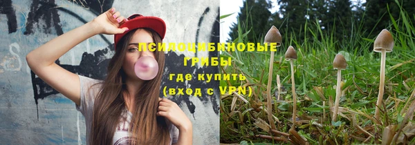 ПСИЛОЦИБИНОВЫЕ ГРИБЫ Белокуриха