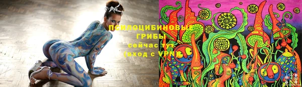 ПСИЛОЦИБИНОВЫЕ ГРИБЫ Белокуриха