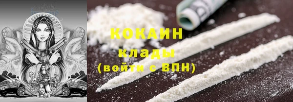индика Белоозёрский