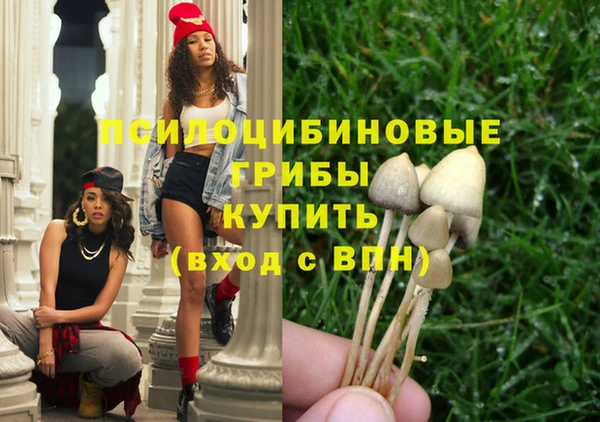шишки Богородицк